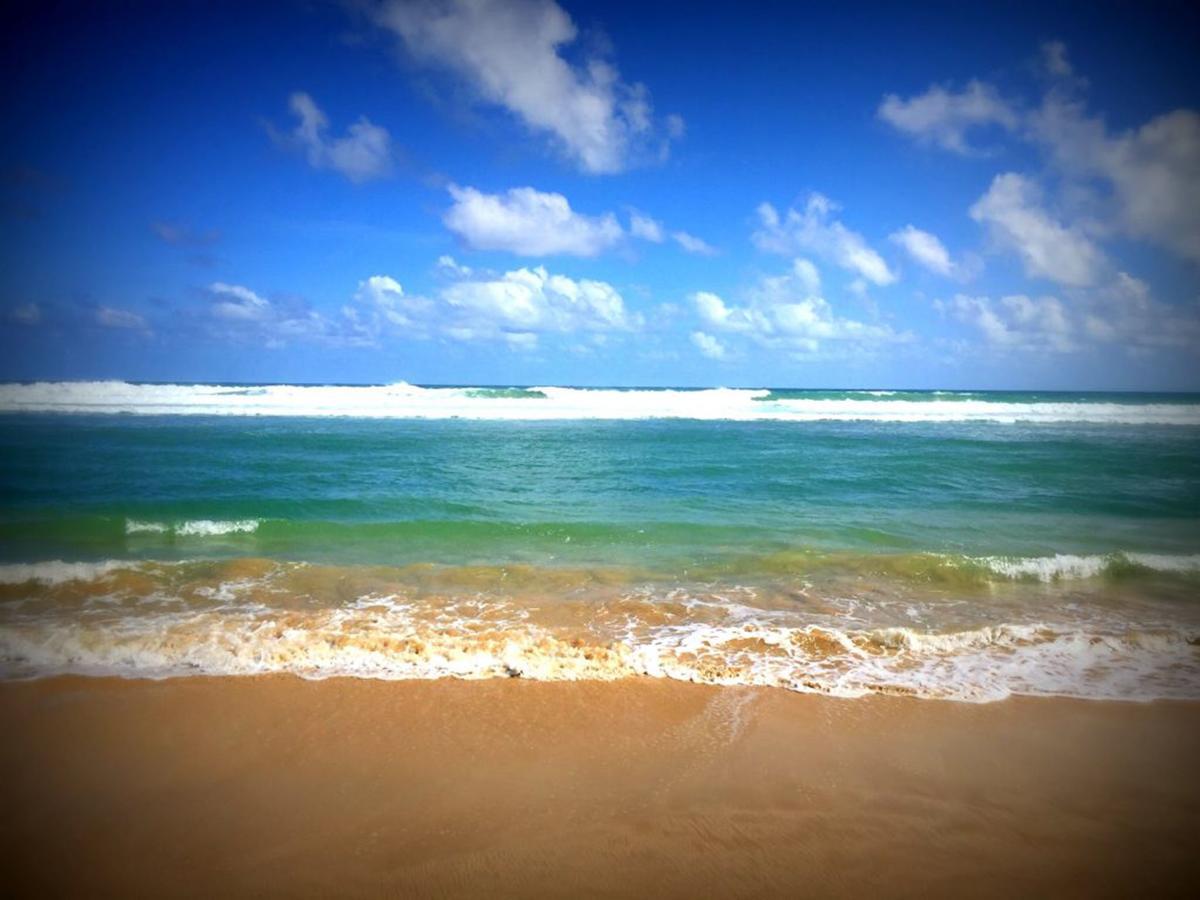 Crystal Oceanic