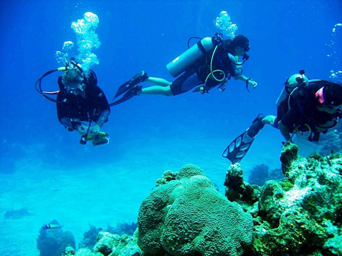 Отель Crystal Oceanic Ахангама