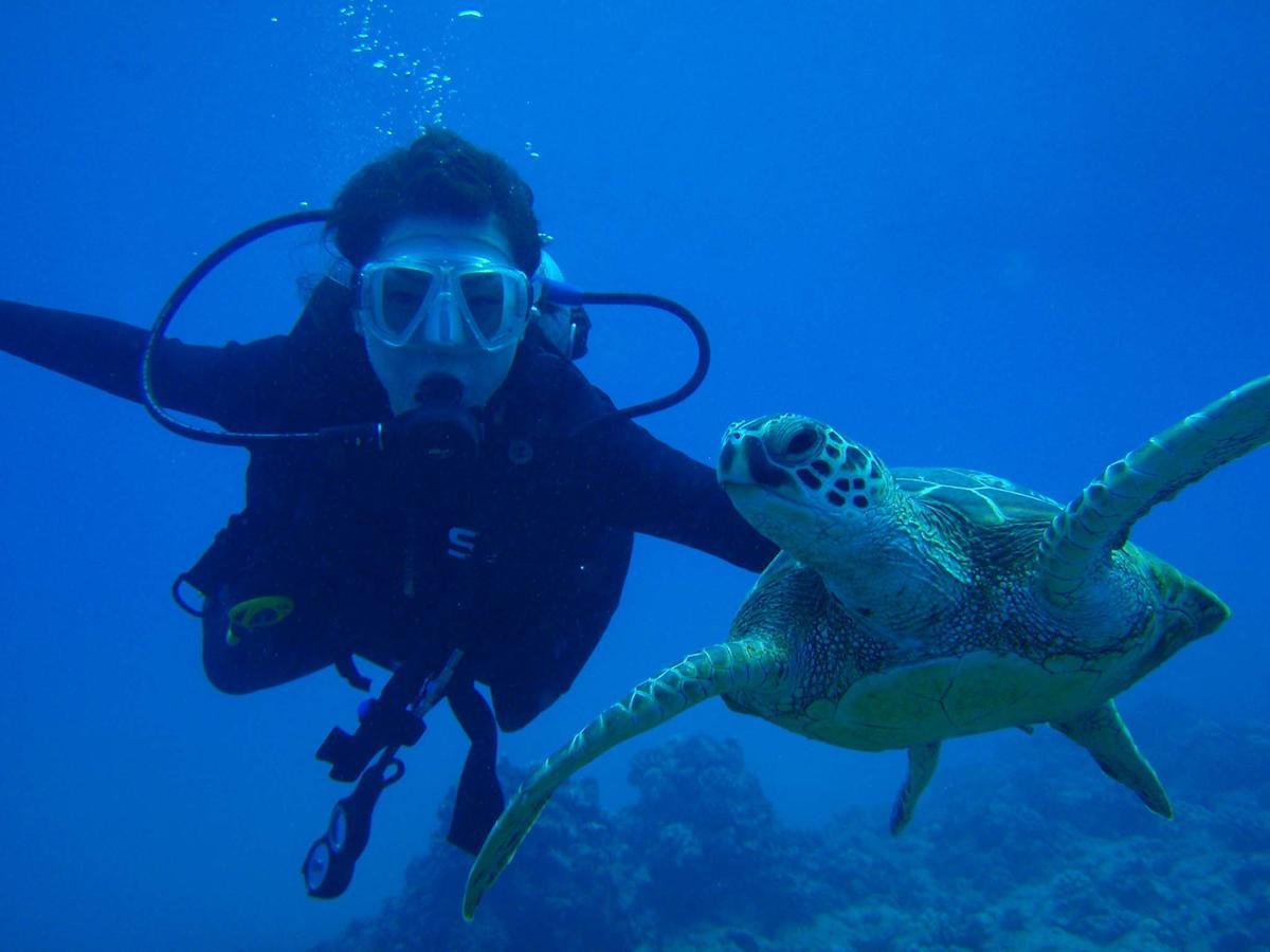 Отель Crystal Oceanic 4*